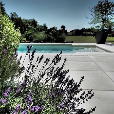 La Villa A Chateau Franc-Daut Sleeps 6 Saint-Magne-de-Castillon Eksteriør billede